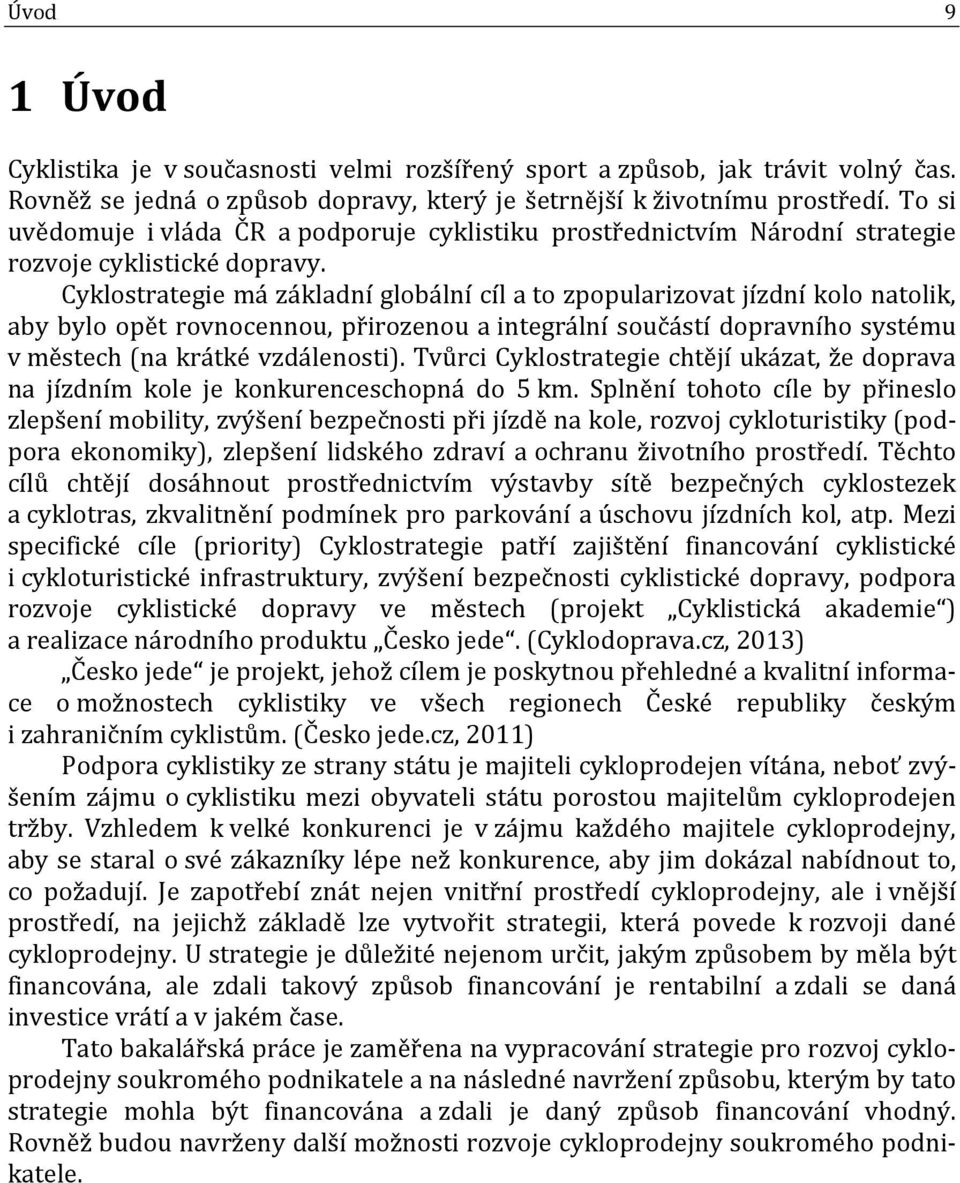 Cyklostrategie má základní globální cíl a to zpopularizovat jízdní kolo natolik, aby bylo opět rovnocennou, přirozenou a integrální součástí dopravního systému v městech (na krátké vzdálenosti).