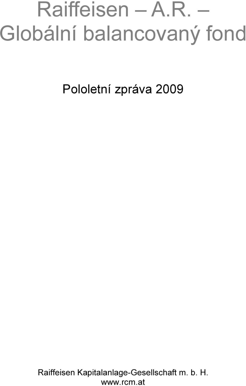zpráva 2009 Raiffeisen