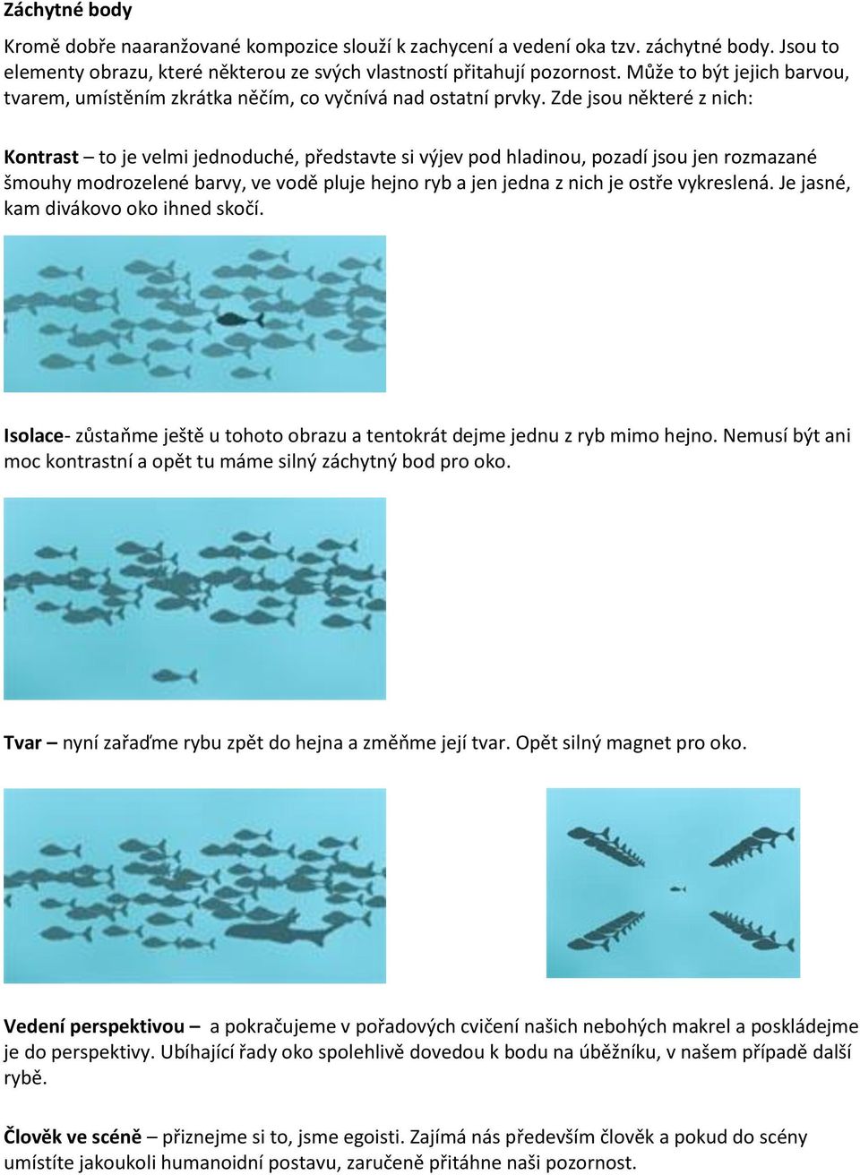 Zde jsou některé z nich: Kontrast to je velmi jednoduché, představte si výjev pod hladinou, pozadí jsou jen rozmazané šmouhy modrozelené barvy, ve vodě pluje hejno ryb a jen jedna z nich je ostře