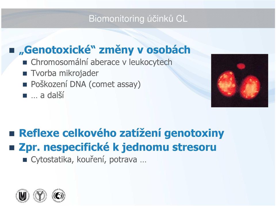 Poškození DNA (comet assay) a další Reflexe celkového