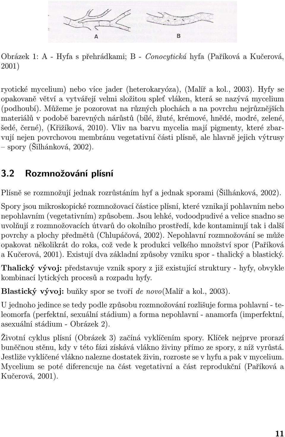 Můžeme je pozorovat na různých plochách a na povrchu nejrůznějších materiálů v podobě barevných nárůstů (bílé, žluté, krémové, hnědé, modré, zelené, šedé, černé), (Křižíková, 2010).