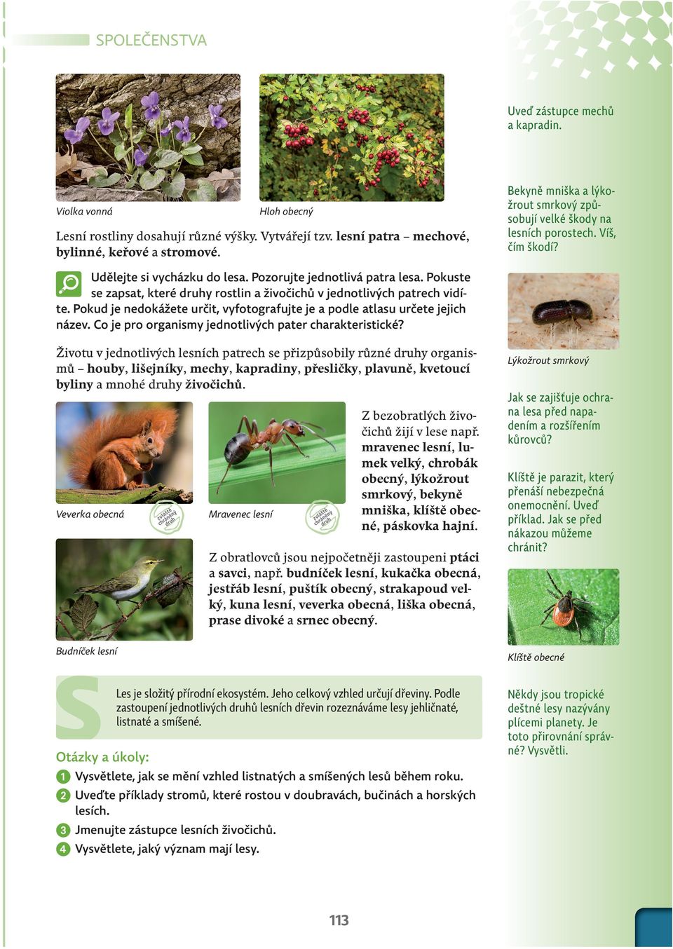 Pokuste se zapsat, které druhy rostlin a živočichů v jednotlivých patrech vidíte. Pokud je nedokážete určit, vyfotografujte je a podle atlasu určete jejich název.