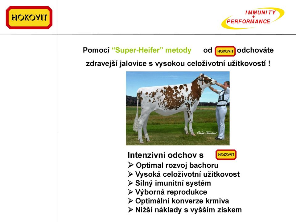 Intenzivní odchov s Optimal rozvoj bachoru Vysoká celoživotní