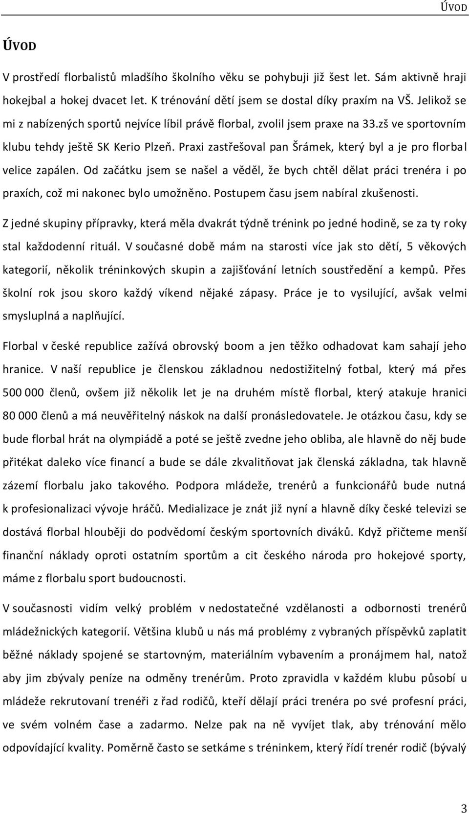 Praxi zastřešoval pan Šrámek, který byl a je pro florbal velice zapálen. Od začátku jsem se našel a věděl, že bych chtěl dělat práci trenéra i po praxích, což mi nakonec bylo umožněno.