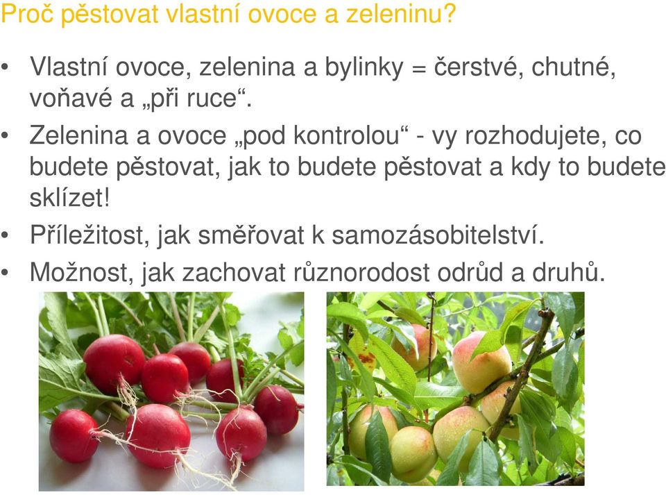 Zelenina a ovoce pod kontrolou - vy rozhodujete, co budete pěstovat, jak to