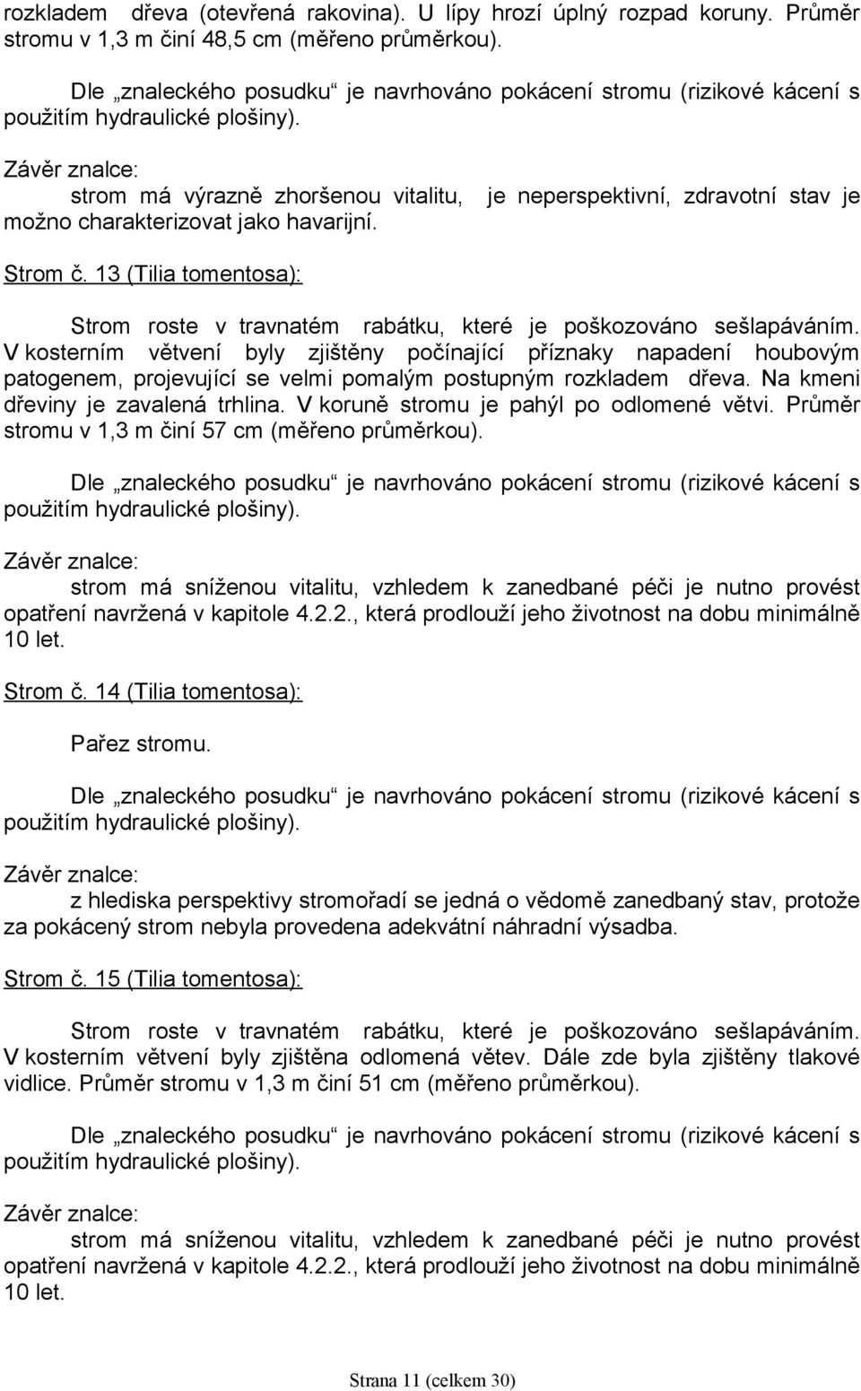 13 (Tilia tomentosa): Strom roste v travnatém rabátku, které je poškozováno sešlapáváním.