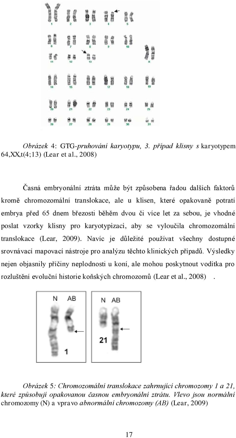 sebou, je vhodné poslat vzorky klisny pro karyotypizaci, aby se vyloučila chromozomální translokace (Lear, 2009).