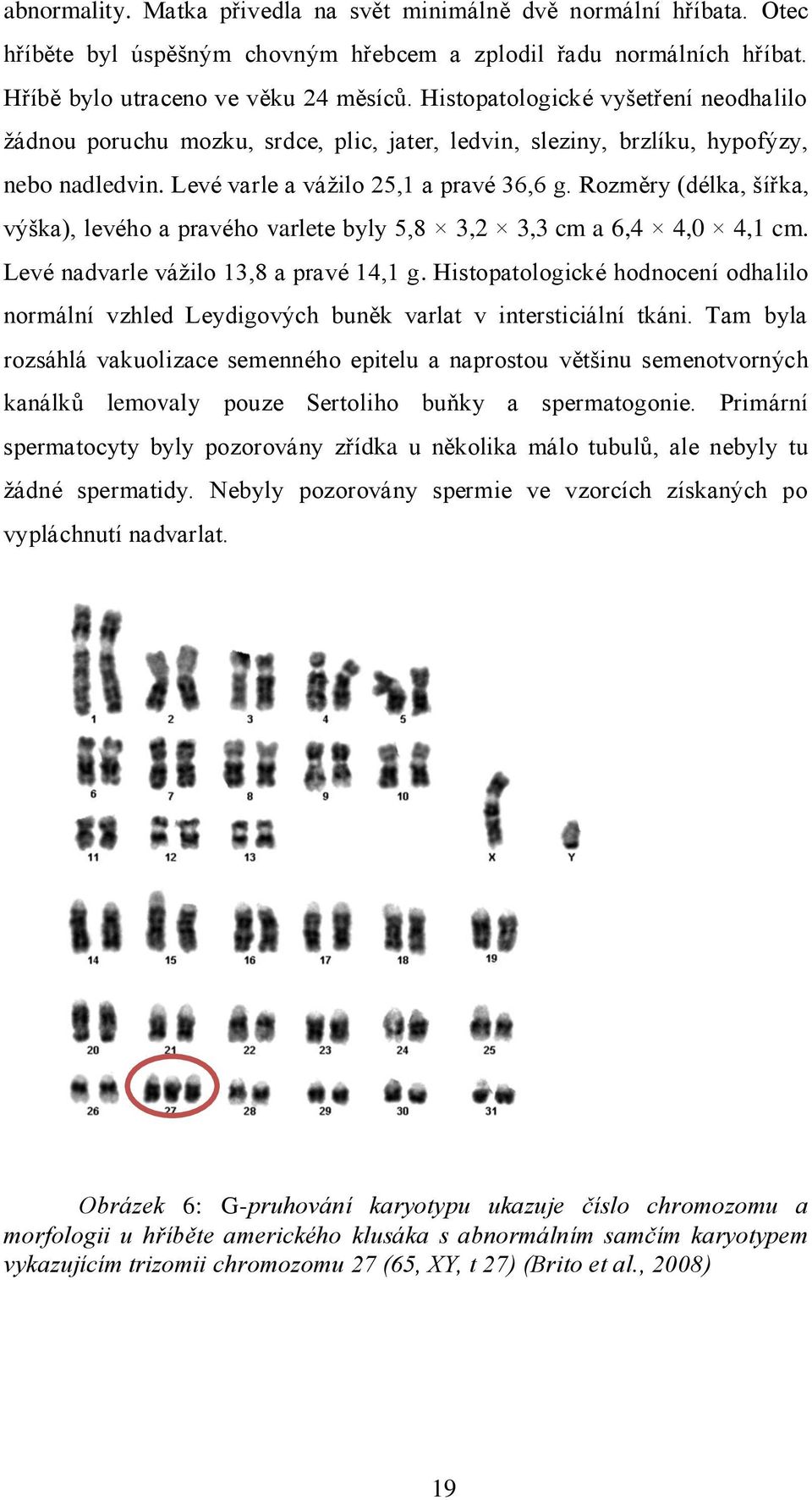 Rozměry (délka, šířka, výška), levého a pravého varlete byly 5,8 3,2 3,3 cm a 6,4 4,0 4,1 cm. Levé nadvarle vážilo 13,8 a pravé 14,1 g.