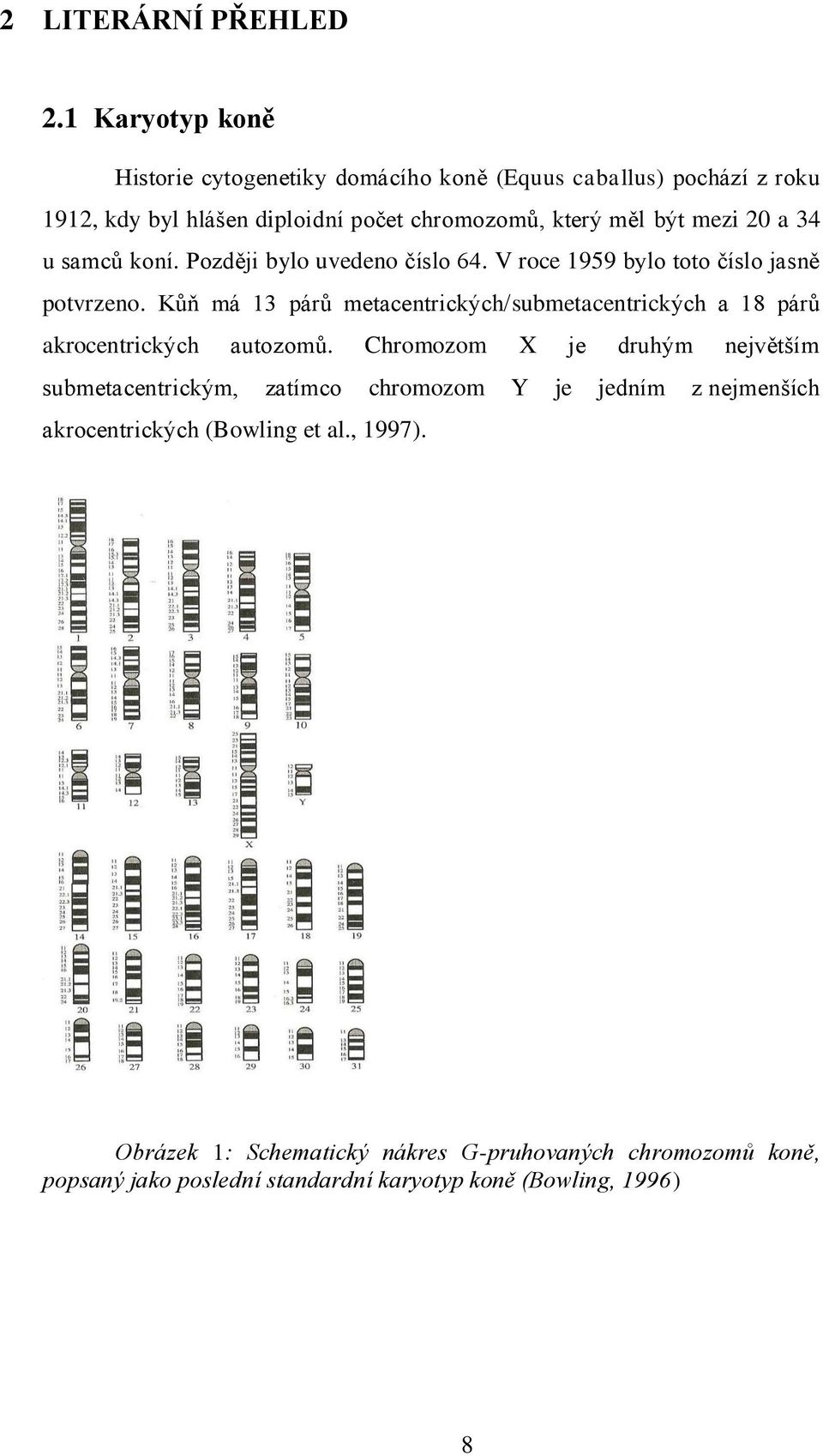 a 34 u samců koní. Později bylo uvedeno číslo 64. V roce 1959 bylo toto číslo jasně potvrzeno.