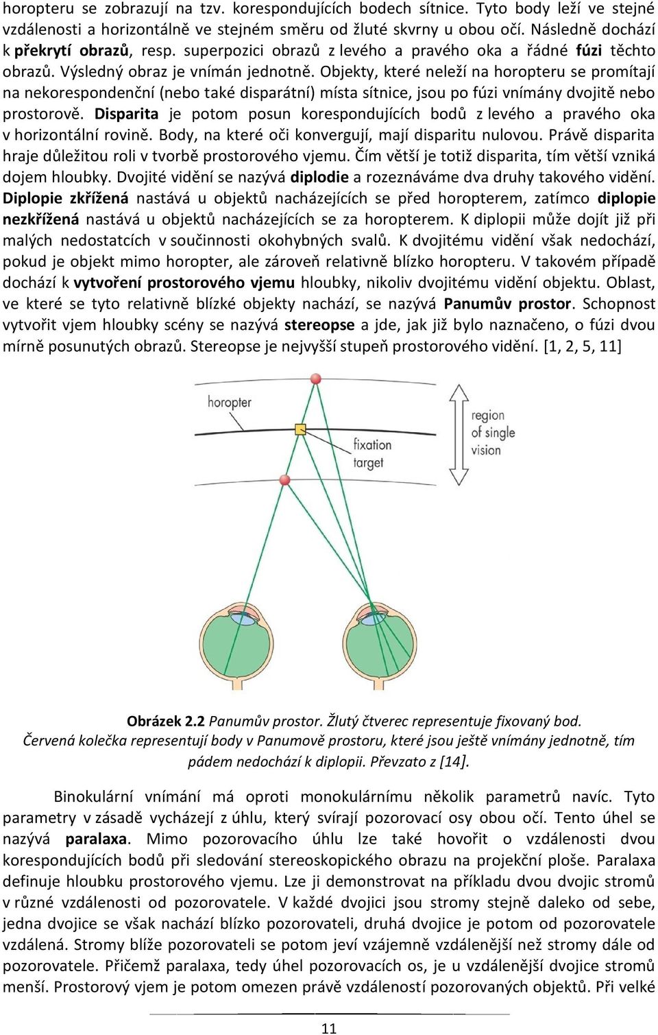 Objekty, které neleží na horopteru se promítají na nekorespondenční (nebo také disparátní) místa sítnice, jsou po fúzi vnímány dvojitě nebo prostorově.