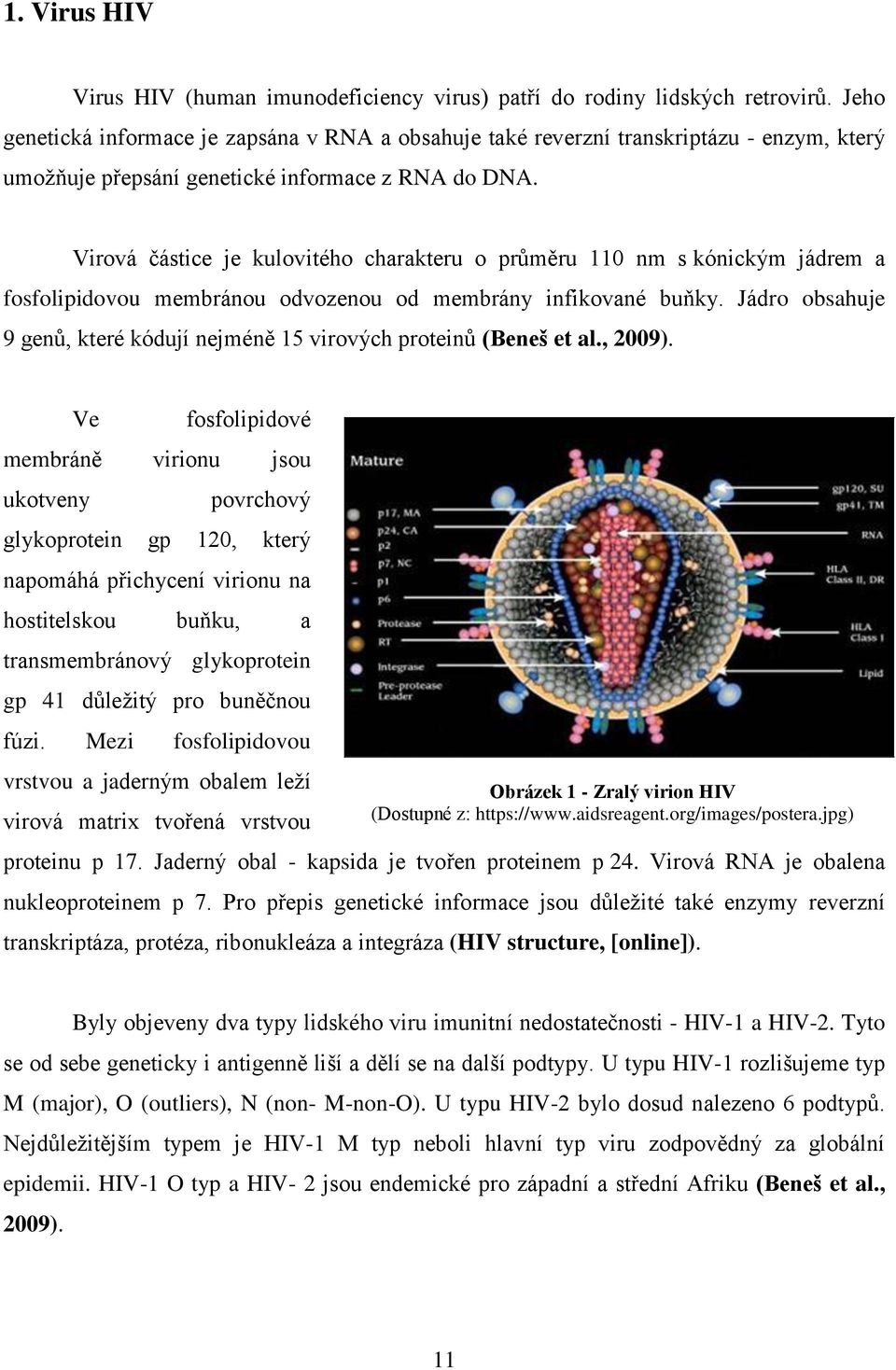 Virová částice je kulovitého charakteru o průměru 110 nm s kónickým jádrem a fosfolipidovou membránou odvozenou od membrány infikované buňky.