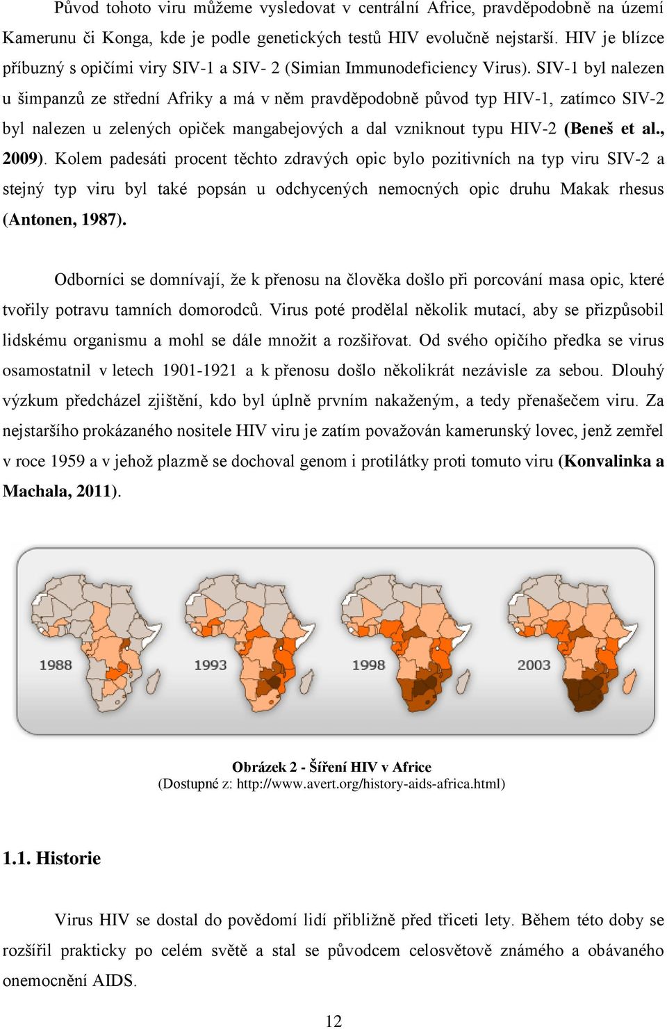 SIV-1 byl nalezen u šimpanzů ze střední Afriky a má v něm pravděpodobně původ typ HIV-1, zatímco SIV-2 byl nalezen u zelených opiček mangabejových a dal vzniknout typu HIV-2 (Beneš et al., 2009).