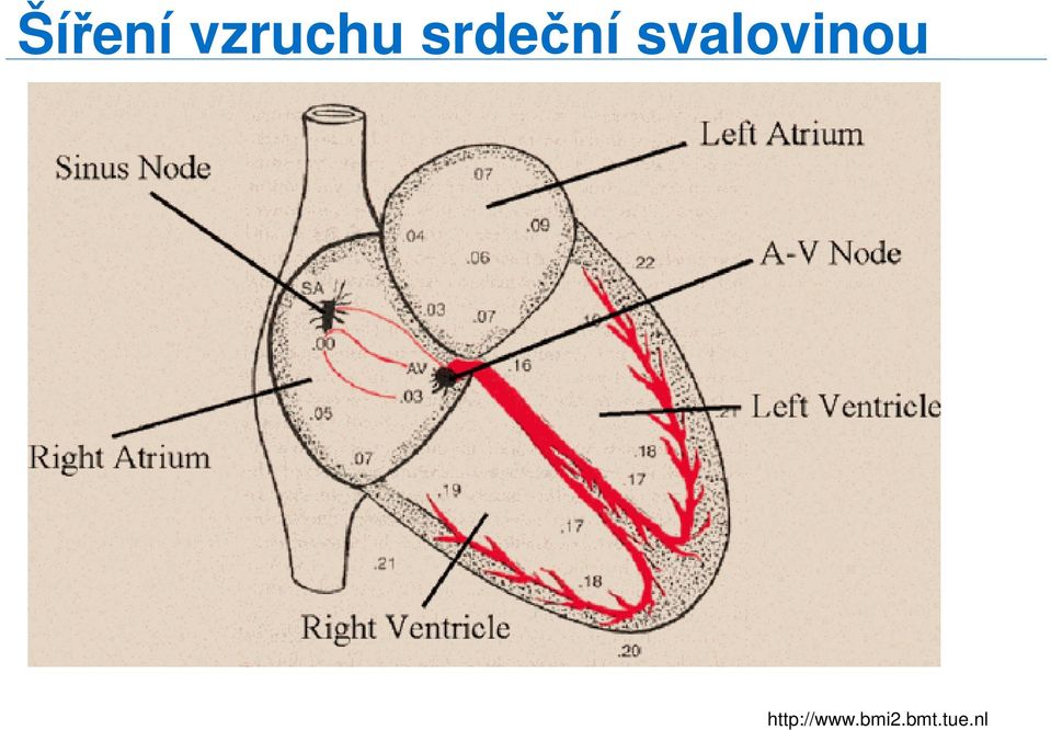 svalovinou