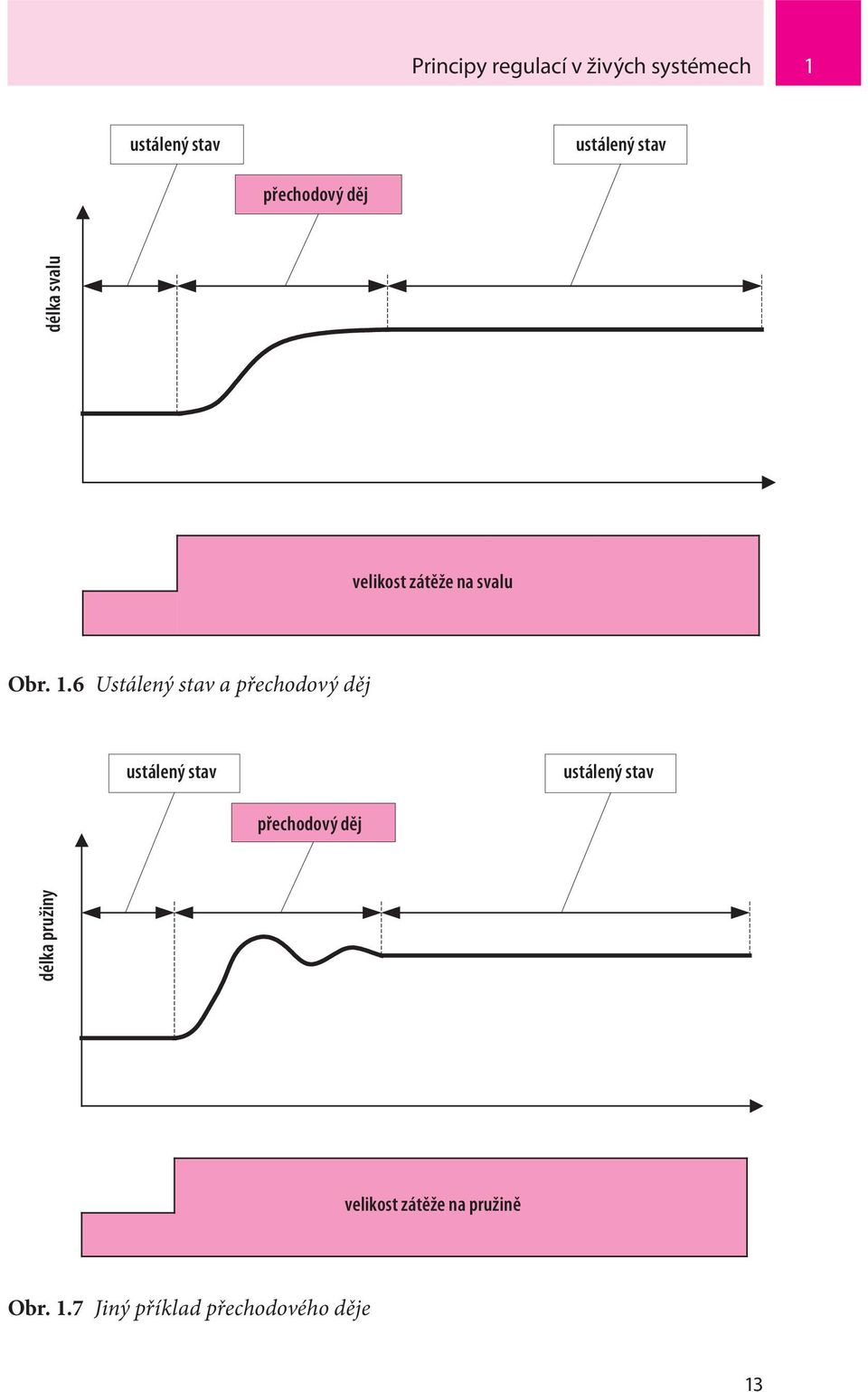 1.6 Ustálený stav a přechodový děj ustálený stav ustálený stav