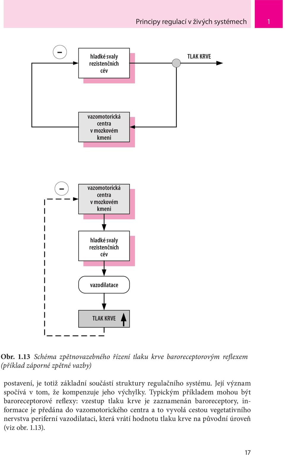 13 Schéma zpětnovazebného řízení tlaku krve baroreceptorovým reflexem (příklad záporné zpětné vazby) postavení, je totiž základní součástí struktury regulačního systému.