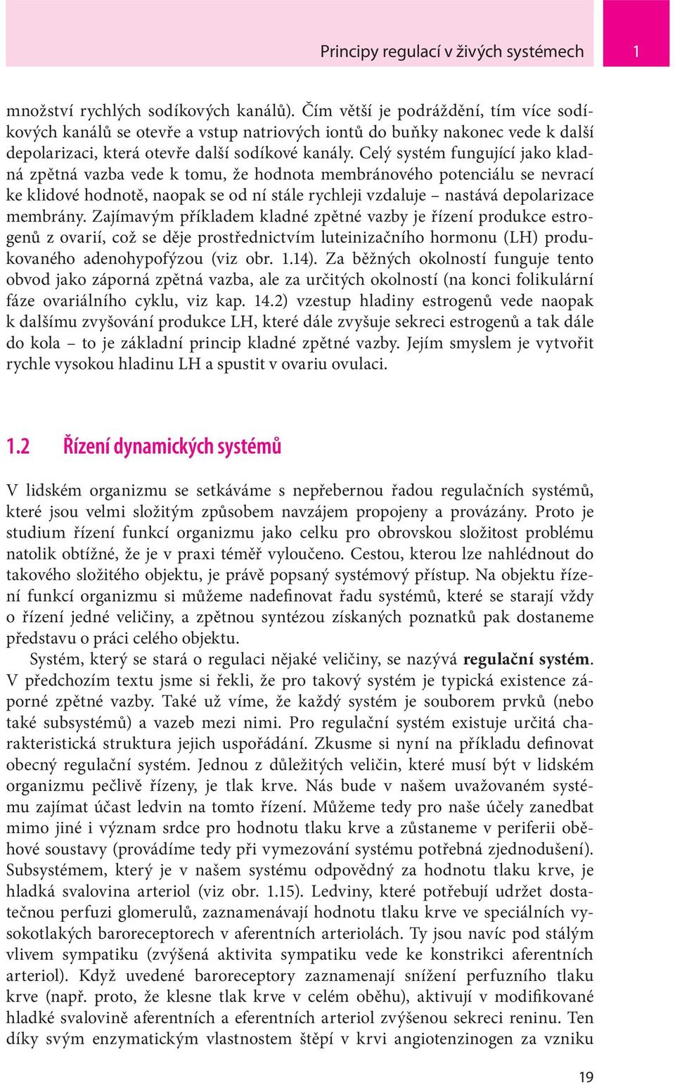 Celý systém fungující jako kladná zpětná vazba vede k tomu, že hodnota membránového potenciálu se nevrací ke klidové hodnotě, naopak se od ní stále rychleji vzdaluje nastává depolarizace membrány.