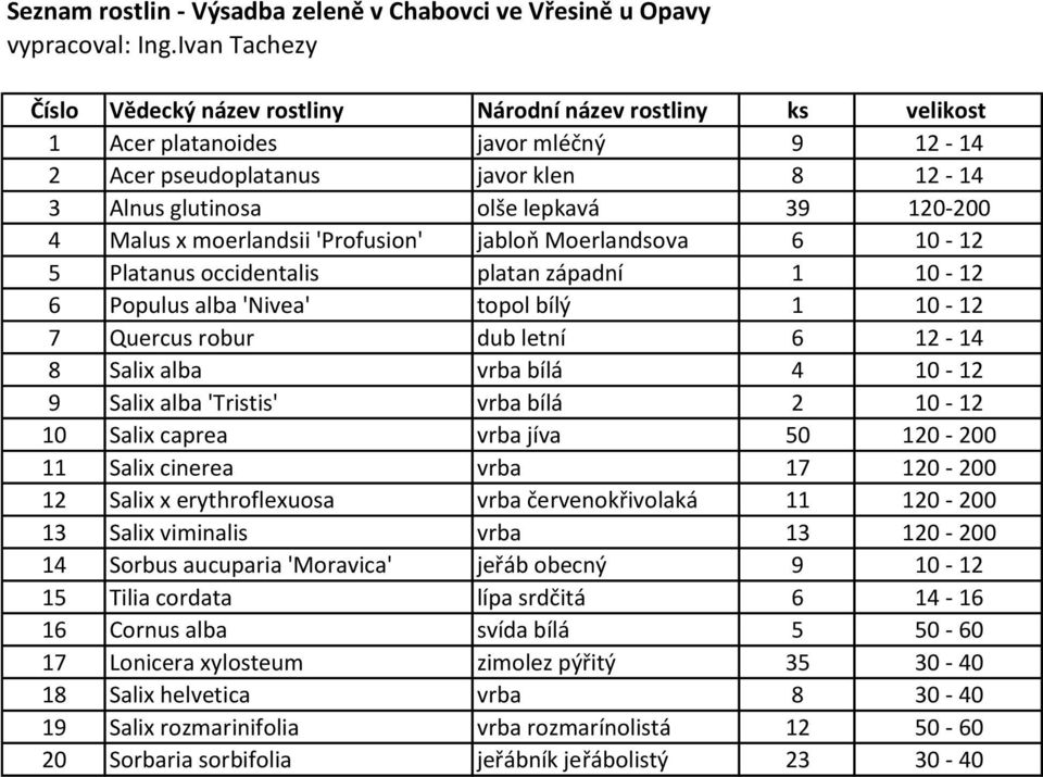 4 Malus x moerlandsii 'Profusion' jabloň Moerlandsova 6 10-12 5 Platanus occidentalis platan západní 1 10-12 6 Populus alba 'Nivea' topol bílý 1 10-12 7 Quercus robur dub letní 6 12-14 8 Salix alba