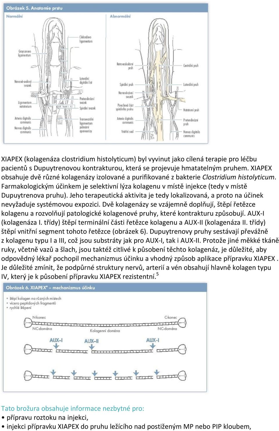 Farmakologickým účinkem je selektivní lýza kolagenu v místě injekce (tedy v místě Dupuytrenova pruhu).