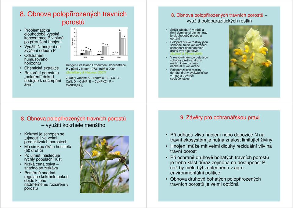 kontrola, B Ca, C CaN, D CaNP, E CaNPKCl, F CaNPK 2 SO 4 8.