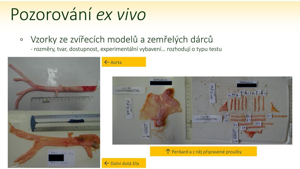 experimentální vybavení rozhodují o typu testu