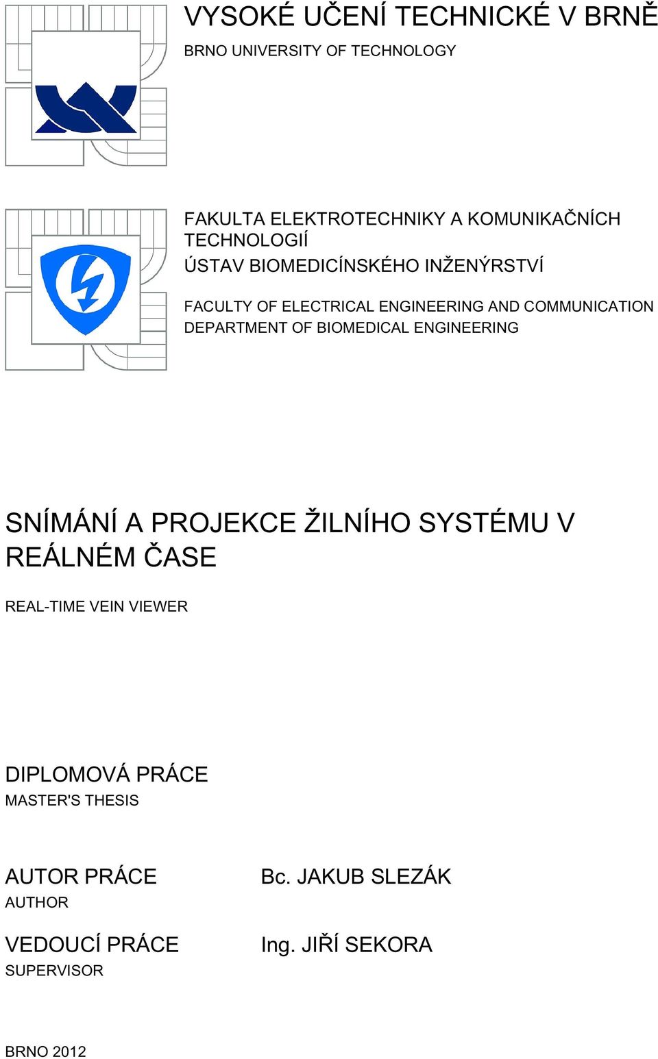 DEPARTMENT OF BIOMEDICAL ENGINEERING SNÍMÁNÍ A PROJEKCE ŽILNÍHO SYSTÉMU V REÁLNÉM ČASE REAL-TIME VEIN