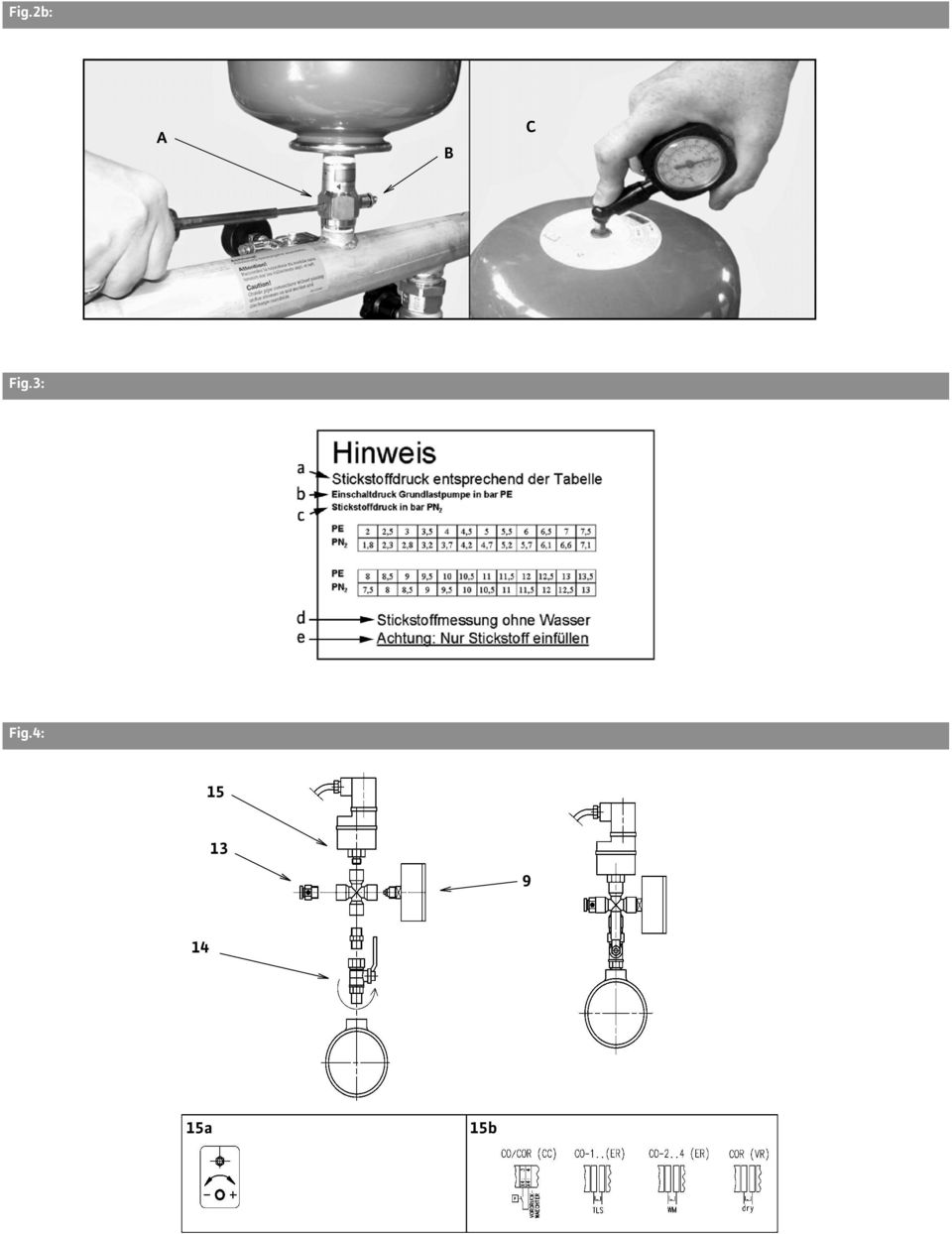 3: Fig.