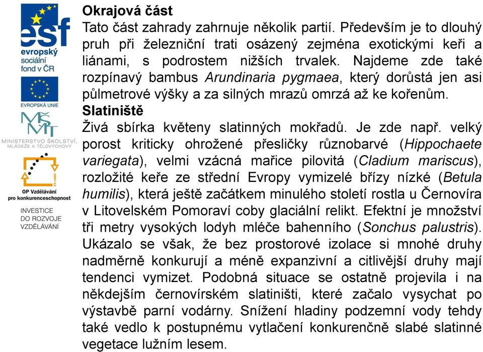 velký porost kriticky ohrožené přesličky různobarvé (Hippochaete variegata), velmi vzácná mařice pilovitá (Cladium mariscus), rozložité keře ze střední Evropy vymizelé břízy nízké (Betula humilis),