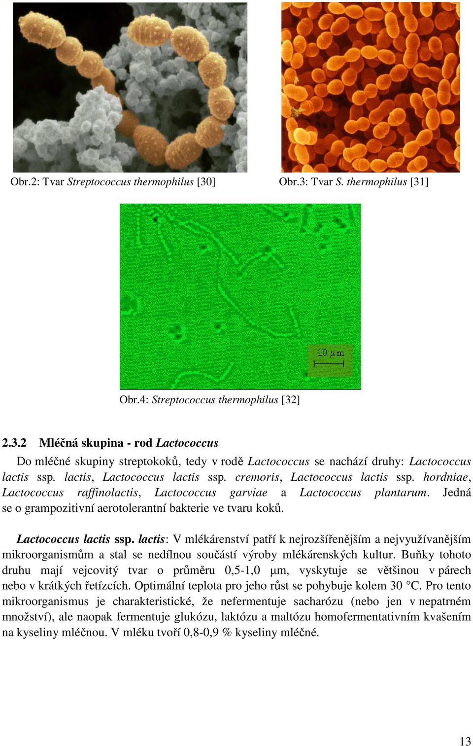 Jedná se o grampozitivní aerotolerantní bakterie ve tvaru koků. Lactococcus lactis ssp.