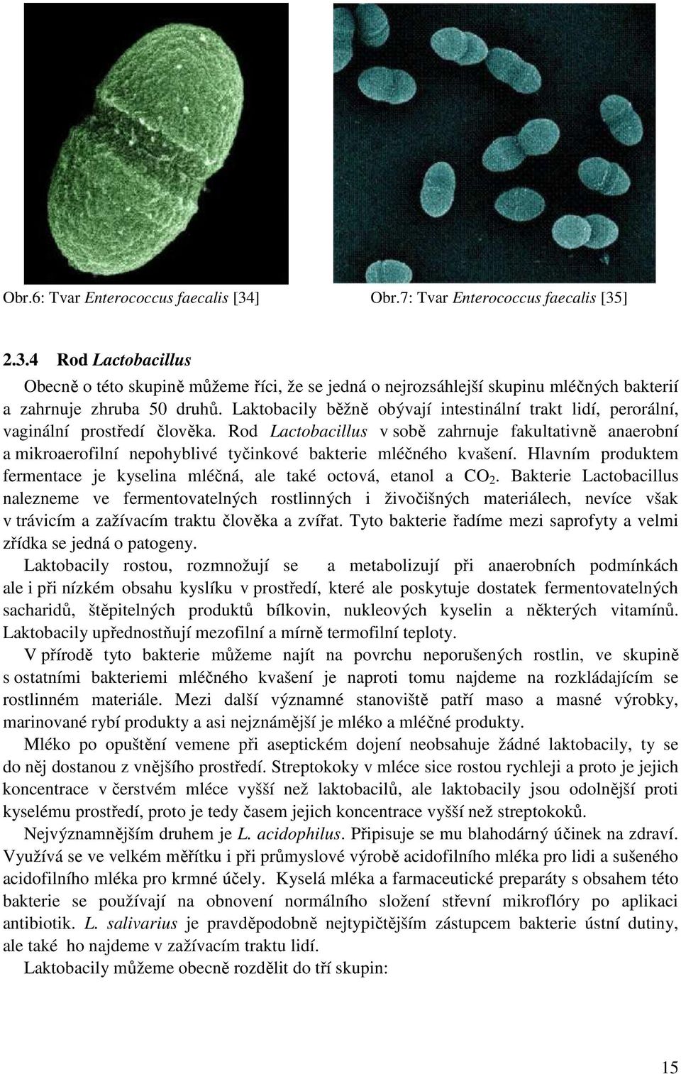 Rod Lactobacillus v sobě zahrnuje fakultativně anaerobní a mikroaerofilní nepohyblivé tyčinkové bakterie mléčného kvašení.