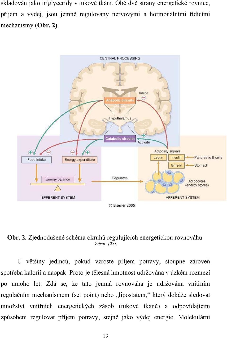 (Zdroj: [28]) U většiny jedinců, pokud vzroste příjem potravy, stoupne zároveň spotřeba kalorií a naopak. Proto je tělesná hmotnost udržována v úzkém rozmezí po mnoho let.
