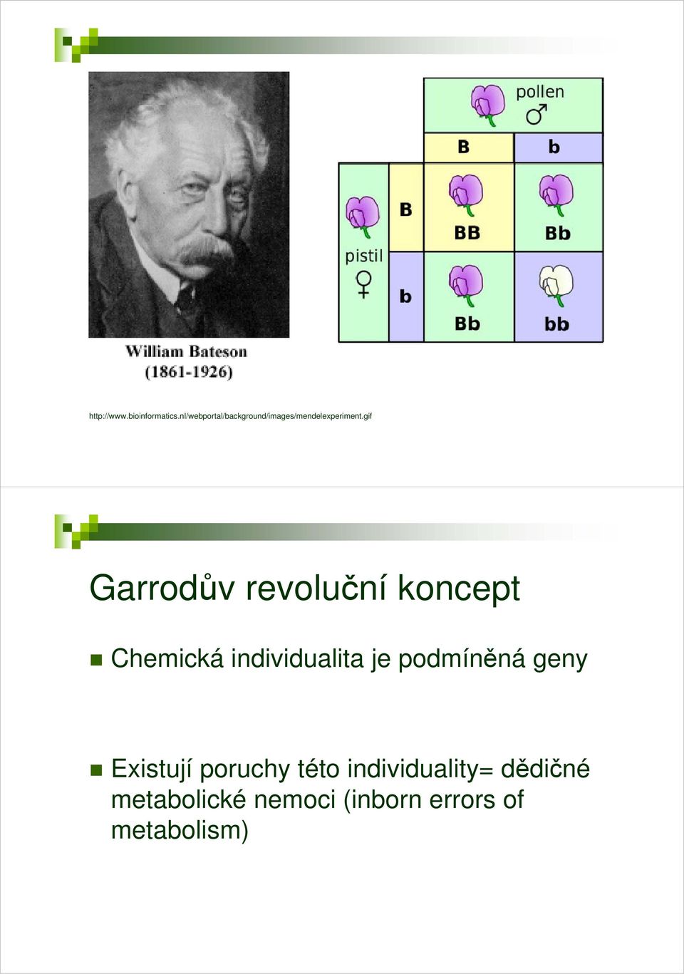 gif Garrodův revoluční koncept Chemická individualita je