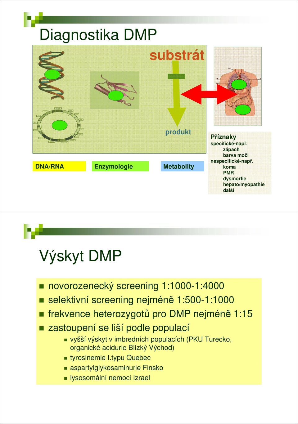 1:500-1:1000 frekvence heterozygotů pro DMP nejméně 1:15 zastoupení se liší podle populací vyšší výskyt v imbredních