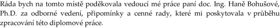 za odborné vedení, připomínky a cenné rady,