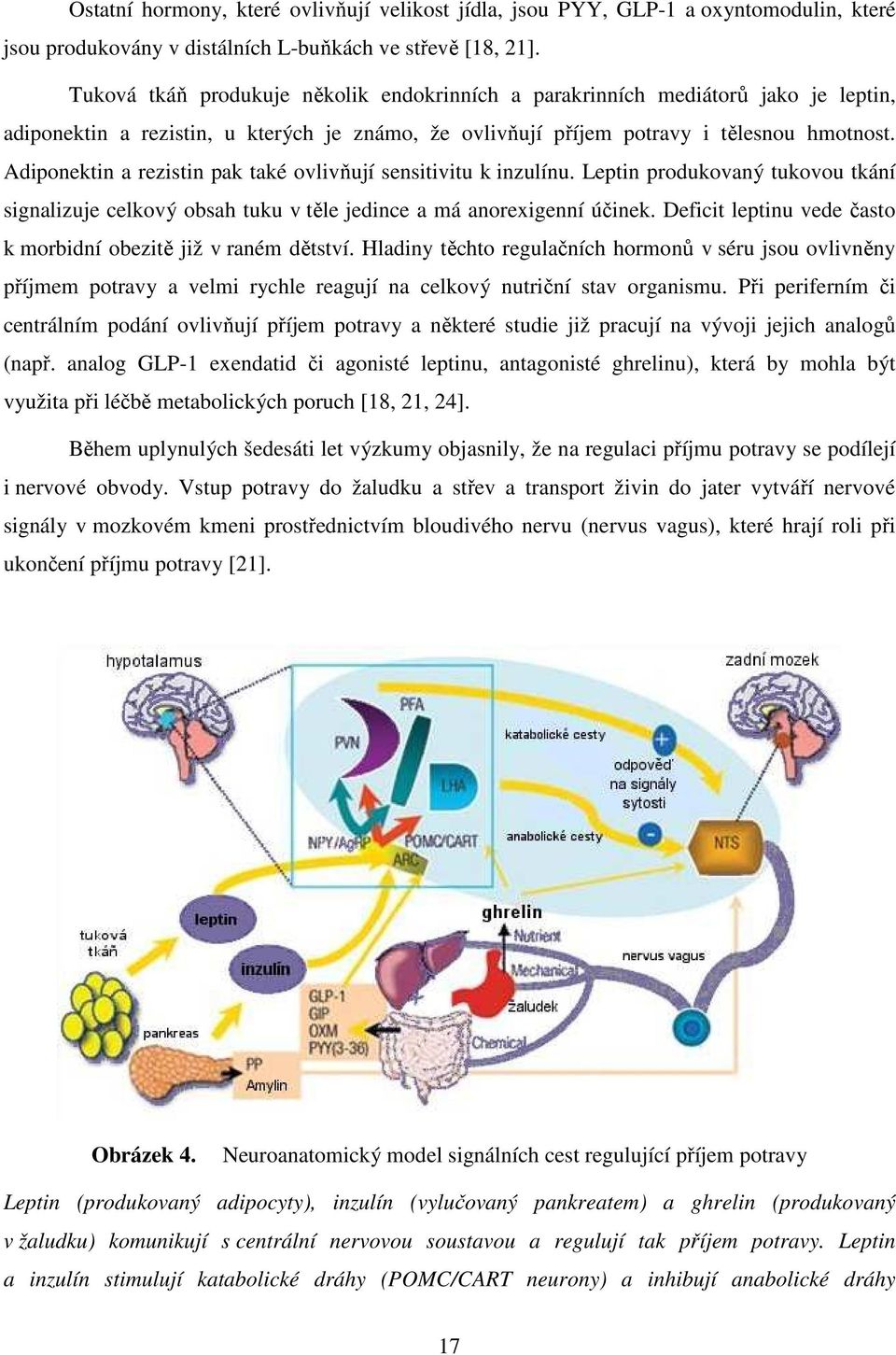 Adiponektin a rezistin pak také ovlivňují sensitivitu k inzulínu. Leptin produkovaný tukovou tkání signalizuje celkový obsah tuku v těle jedince a má anorexigenní účinek.