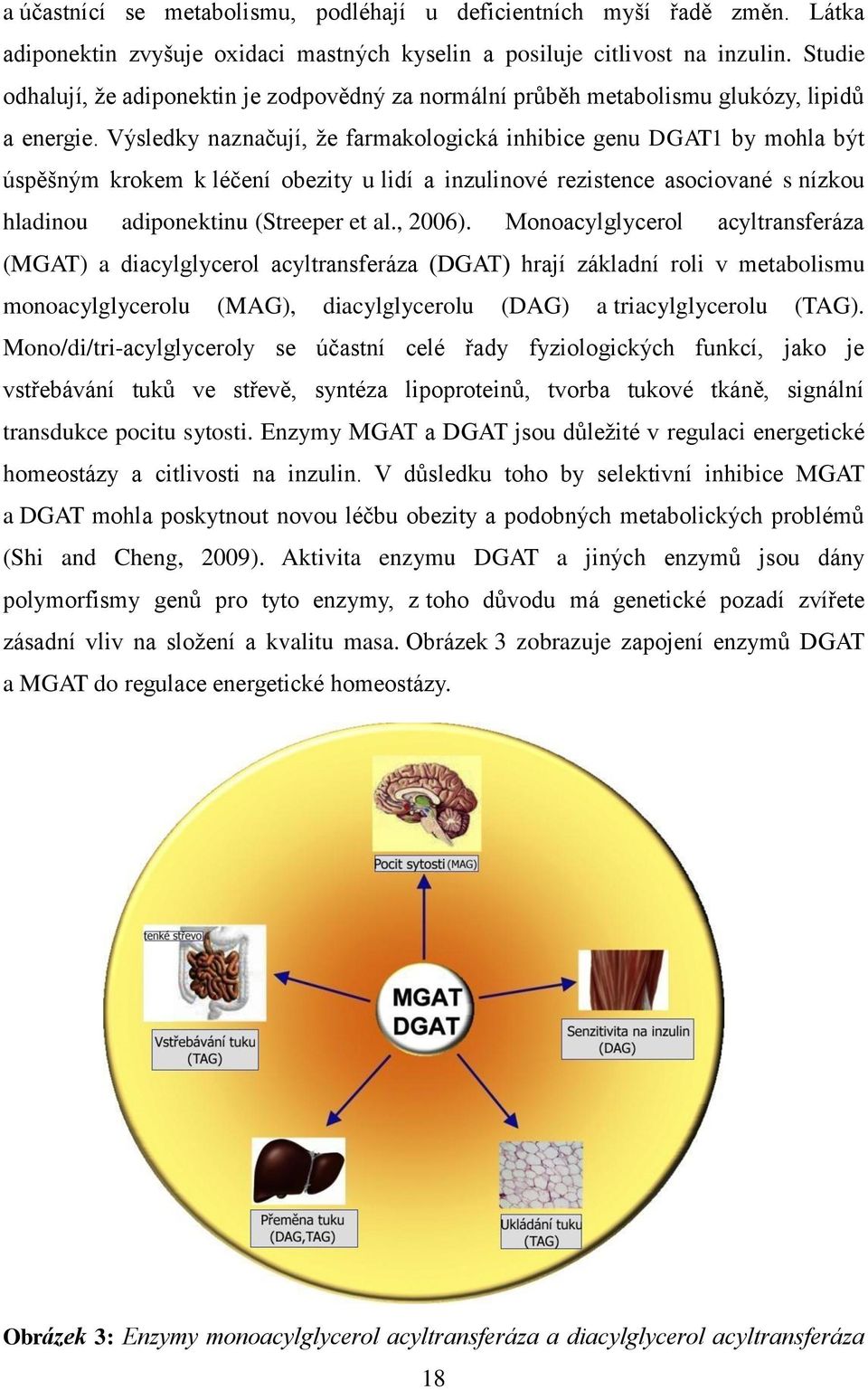 Výsledky naznačují, že farmakologická inhibice genu DGAT1 by mohla být úspěšným krokem k léčení obezity u lidí a inzulinové rezistence asociované s nízkou hladinou adiponektinu (Streeper et al.