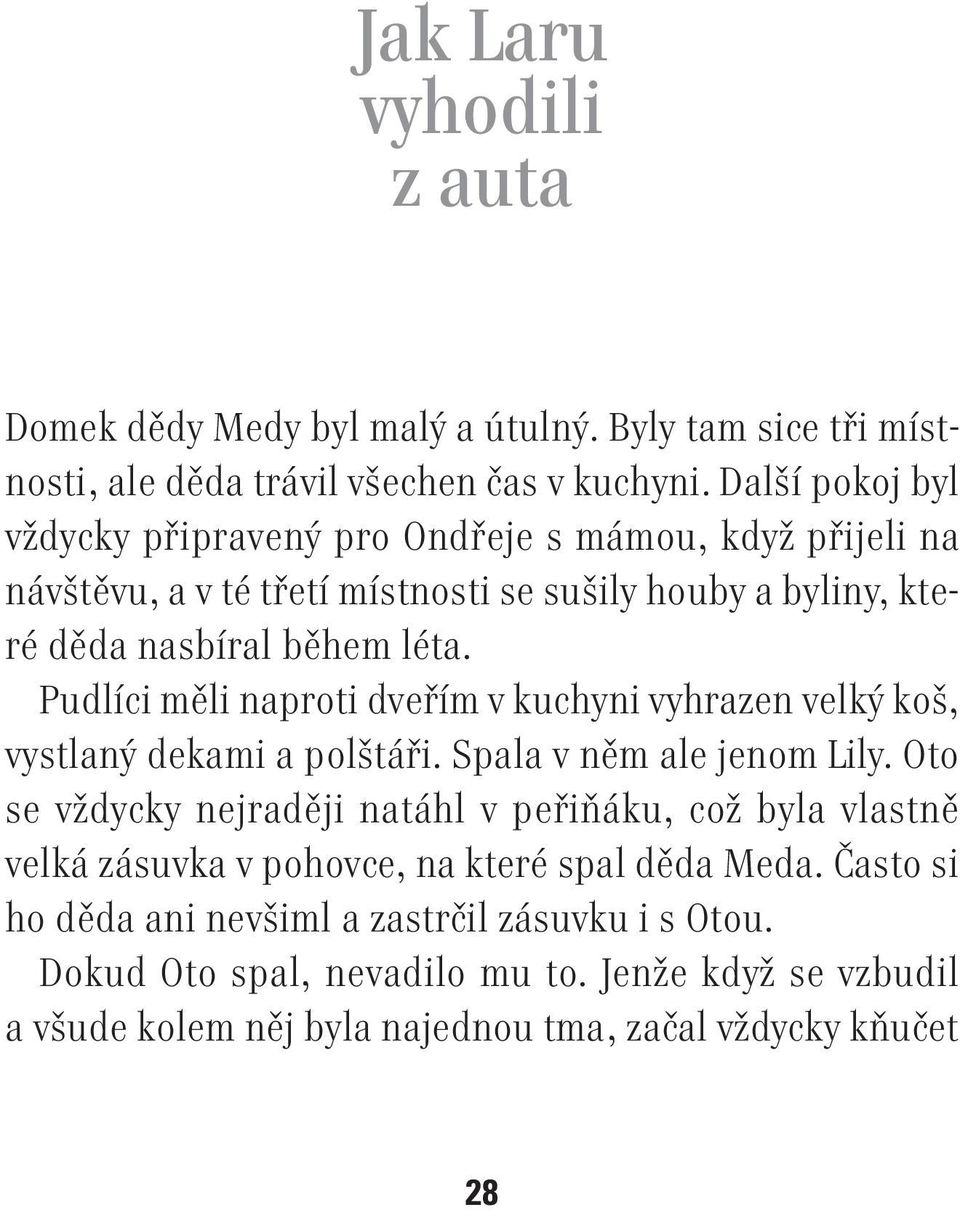 Pudlíci měli naproti dveřím v kuchyni vyhrazen velký koš, vystlaný dekami a polštáři. Spala v něm ale jenom Lily.