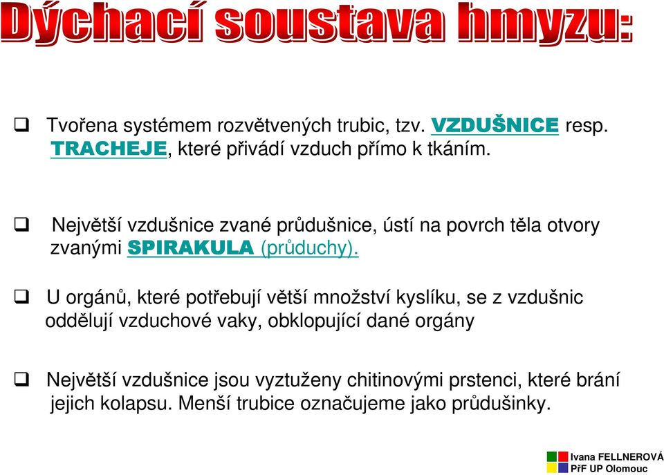 U orgánů, které potřebují větší množství kyslíku, se z vzdušnic oddělují vzduchové vaky, obklopující dané