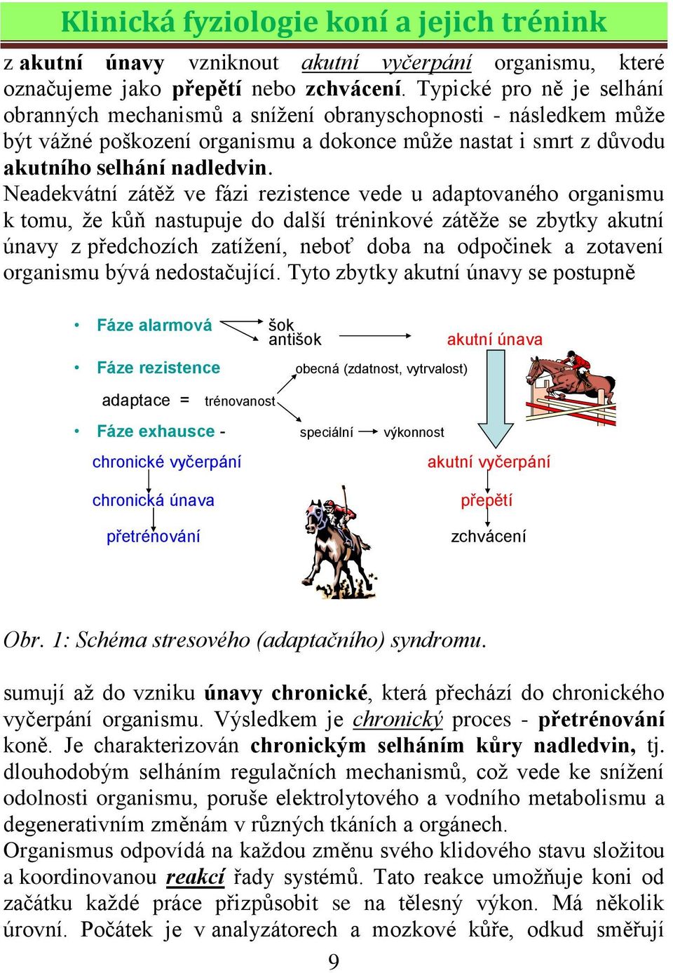 Neadekvátní zátěţ ve fázi rezistence vede u adaptovaného organismu k tomu, ţe kůň nastupuje do další tréninkové zátěţe se zbytky akutní únavy z předchozích zatíţení, neboť doba na odpočinek a