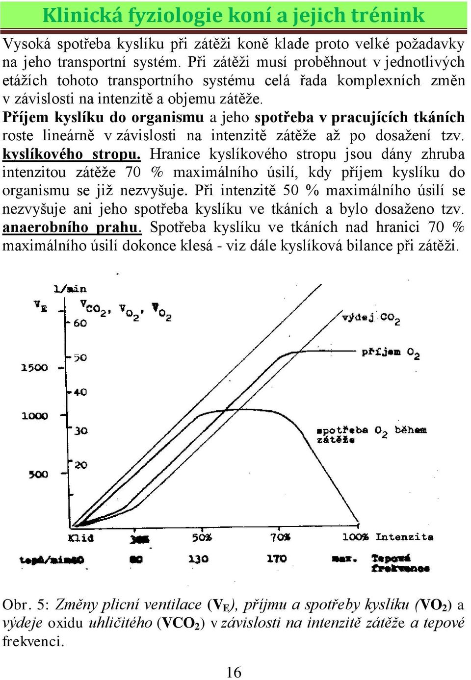 Příjem kyslíku do organismu a jeho spotřeba v pracujících tkáních roste lineárně v závislosti na intenzitě zátěţe aţ po dosaţení tzv. kyslíkového stropu.