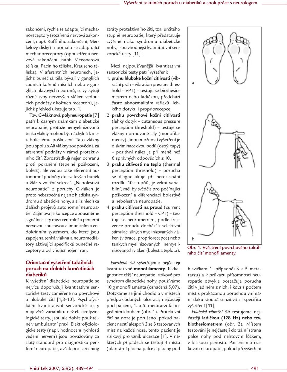 V aferentních neuronech, jejichž buněčná těla bývají v gangliích zadních kořenů míšních nebo v gangliích hlavových neuronů, se vyskytují různé typy nervových vláken vedoucích podněty z kožních
