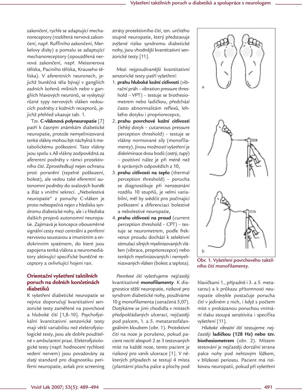 V aferentních neuronech, jejichž buněčná těla bývají v gangliích zadních kořenů míšních nebo v gangliích hlavových neuronů, se vyskytují různé typy nervových vláken vedoucích podněty z kožních