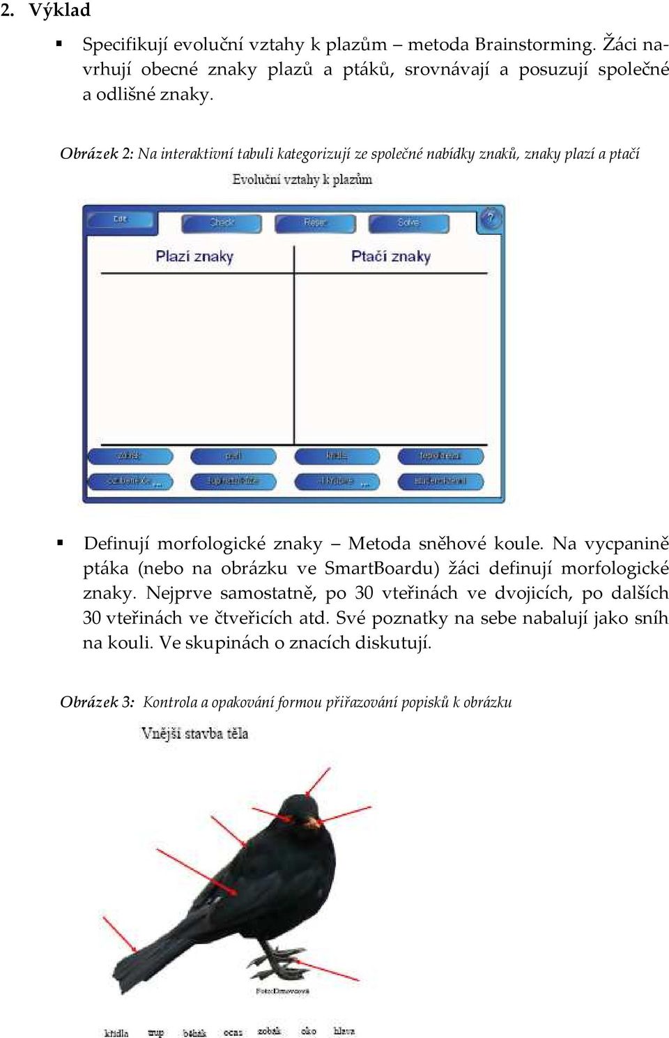 Na vycpanině ptáka (nebo na obrázku ve SmartBoardu) žáci definují morfologické znaky.