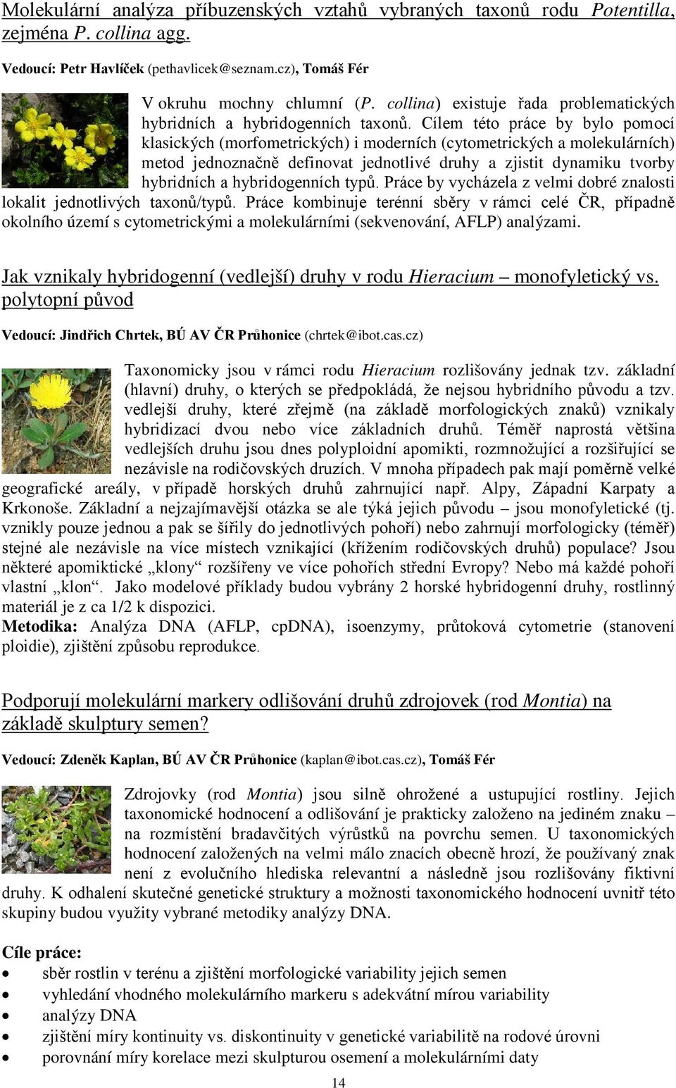 Cílem této práce by bylo pomocí klasických (morfometrických) i moderních (cytometrických a molekulárních) metod jednoznačně definovat jednotlivé druhy a zjistit dynamiku tvorby hybridních a