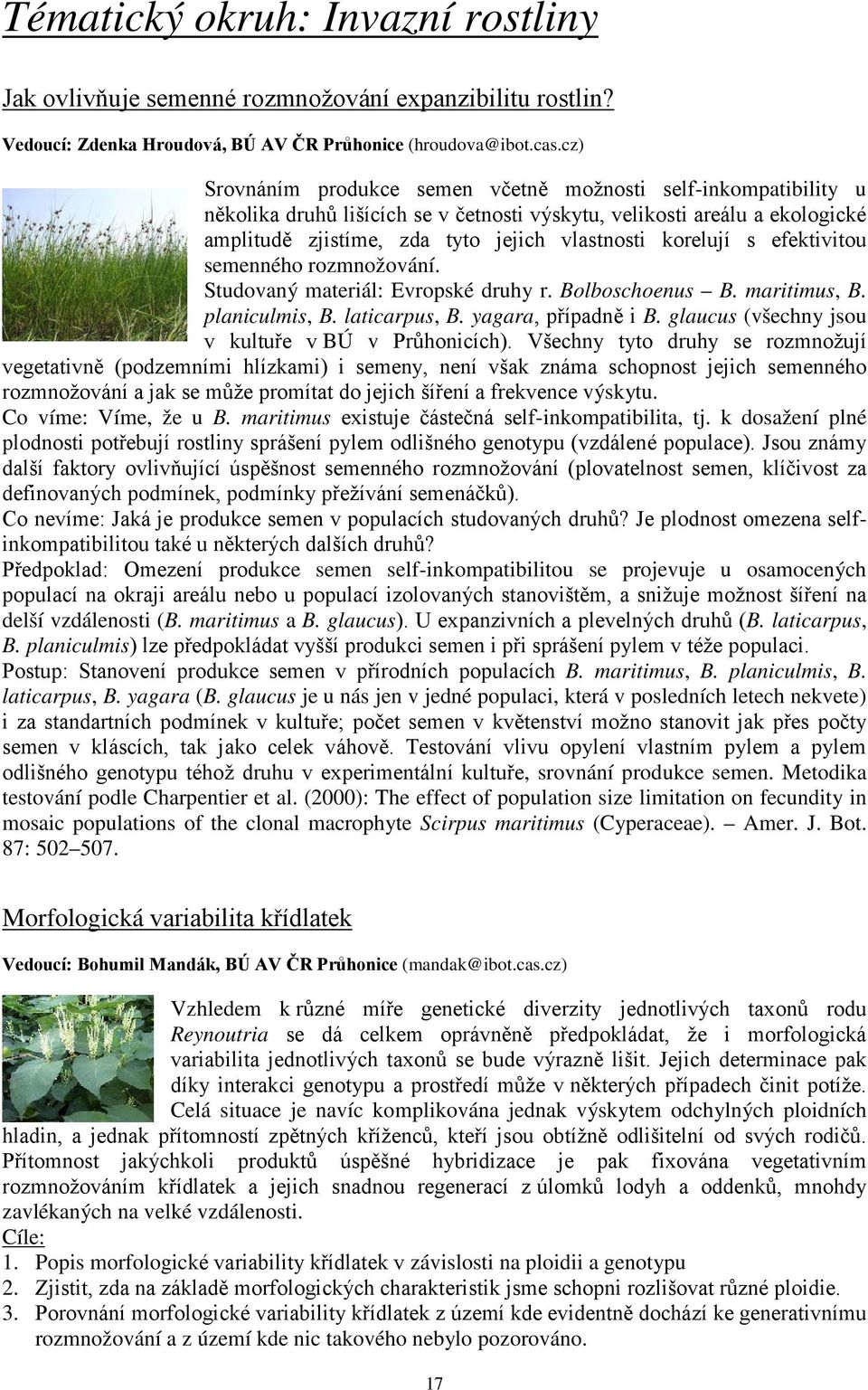 korelují s efektivitou semenného rozmnožování. Studovaný materiál: Evropské druhy r. Bolboschoenus B. maritimus, B. planiculmis, B. laticarpus, B. yagara, případně i B.