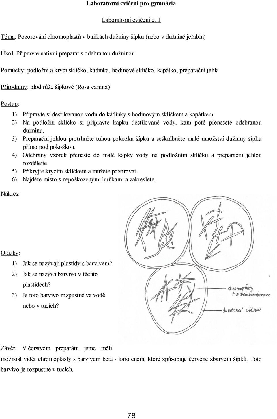 sklíčkem a kapátkem. 2) Na podložní sklíčko si připravte kapku destilované vody, kam poté přenesete odebranou dužninu.