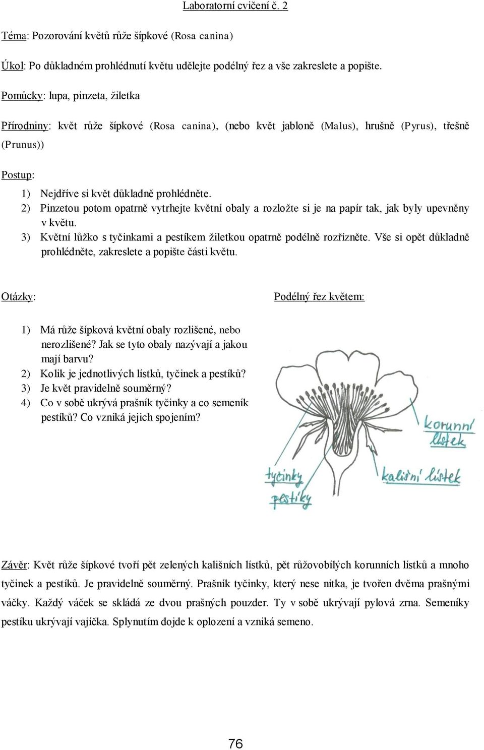 2) Pinzetou potom opatrně vytrhejte květní obaly a rozložte si je na papír tak, jak byly upevněny v květu. 3) Květní lůžko s tyčinkami a pestíkem žiletkou opatrně podélně rozřízněte.