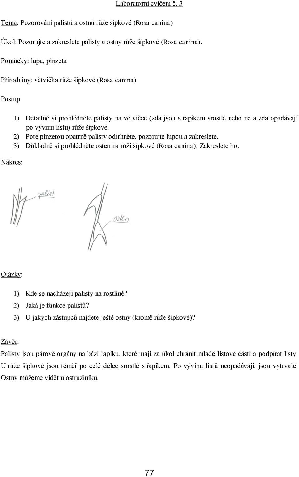 šípkové. 2) Poté pinzetou opatrně palisty odtrhněte, pozorujte lupou a zakreslete. 3) Důkladně si prohlédněte osten na růži šípkové (Rosa canina). Zakreslete ho.