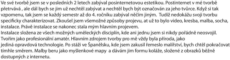 Zkoušel jsem všemožné způsoby projevu, at už to bylo video, kresba, malba, socha, instalace. Právě instalace se nakonec stala mým hlavním projevem.