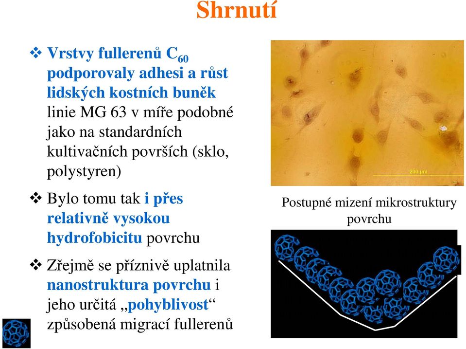 mikrostruktury povrchu titititititiititititititititititititititititititititititi titititititititititititititititititititititititititititit