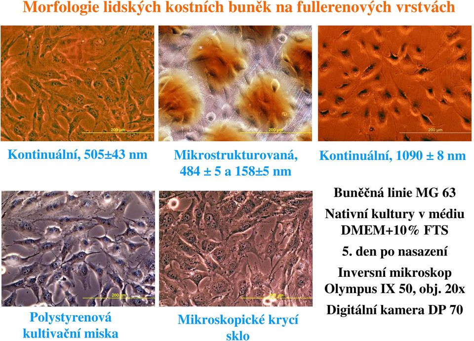 krycí sklo Kontinuální, 1090 ± 8 nm Buněčná linie MG 63 Nativní kultury v médiu